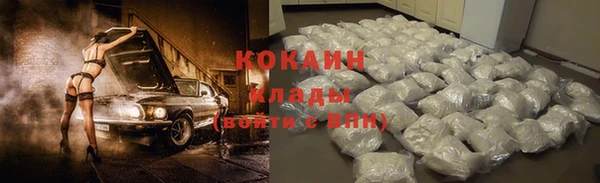 индика Алексеевка