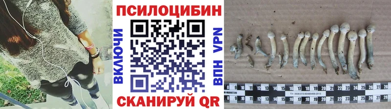 Псилоцибиновые грибы Psilocybine cubensis  мега   Иркутск 