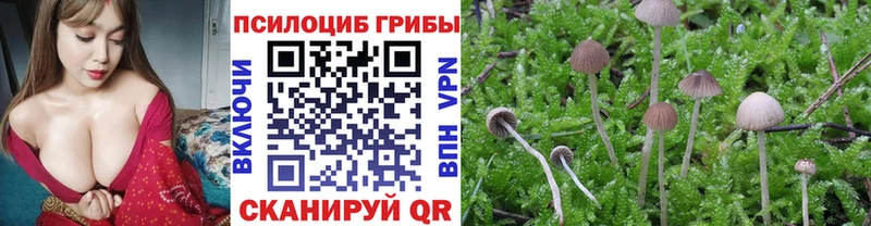 Галлюциногенные грибы GOLDEN TEACHER Иркутск
