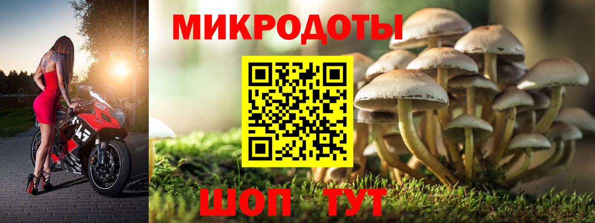 Галлюциногенные грибы мухоморы Иркутск